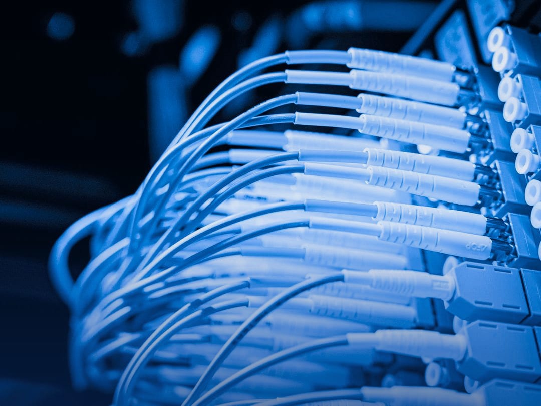 Bundle of fibre-optic patch cables plugged into a network switch, in blue tones